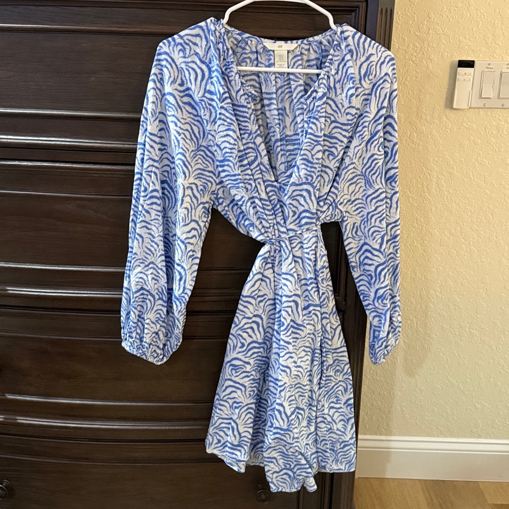 H&M Blue and White Zebra Print Mini Dress